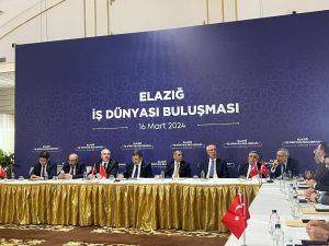 IMG 1578