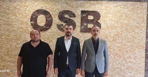 563050401 1214971110677081 5679270297225041517 n